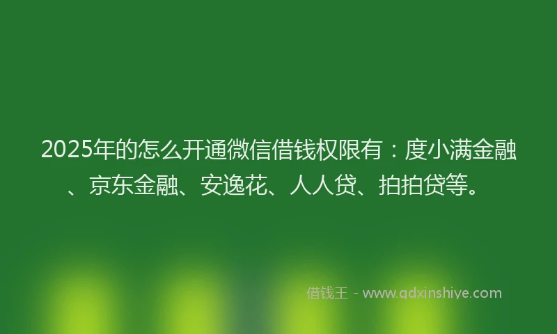 2025年的怎么开通微信借钱权限有：度小满金融、京东金融、安逸花、人人贷、拍拍贷等。