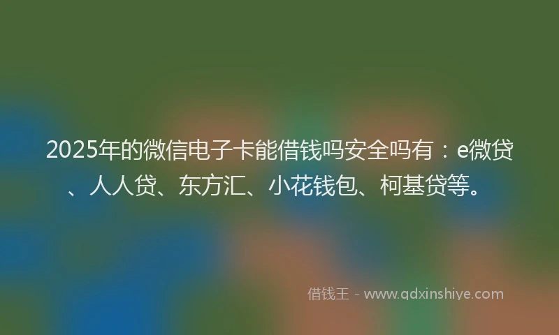 2025年的微信电子卡能借钱吗安全吗有：e微贷、人人贷、东方汇、小花钱包、柯基贷等。