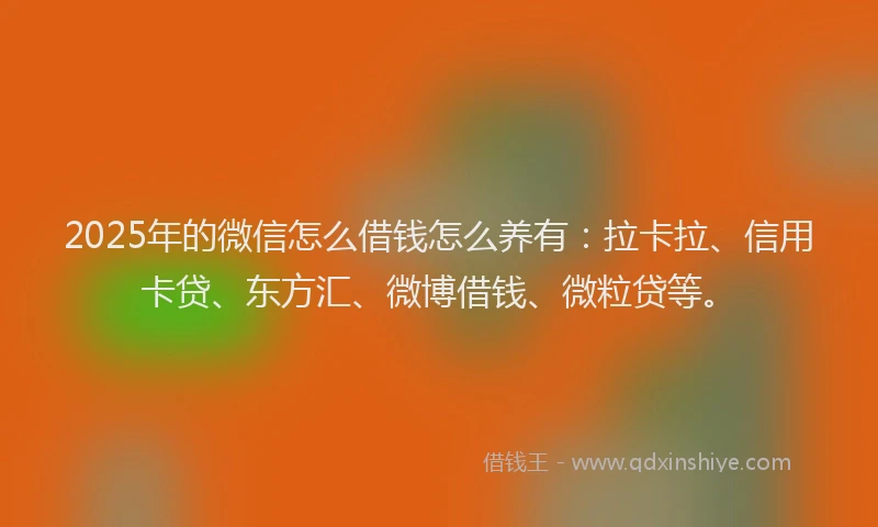 2025年的微信怎么借钱怎么养有：拉卡拉、信用卡贷、东方汇、微博借钱、微粒贷等。