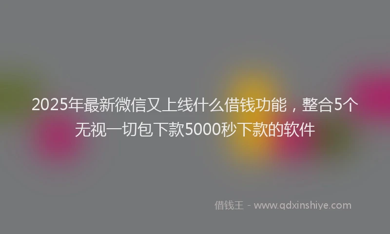 2025年最新微信又上线什么借钱功能，整合5个无视一切包下款5000秒下款的软件