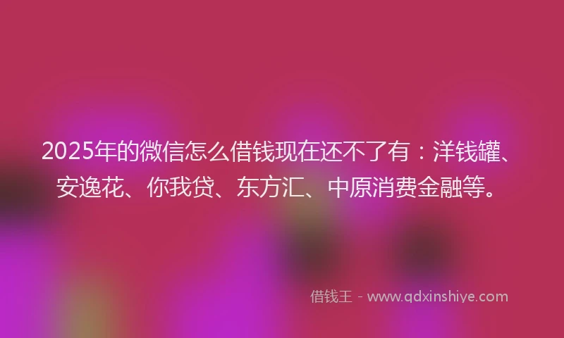 2025年的微信怎么借钱现在还不了有：洋钱罐、安逸花、你我贷、东方汇、中原消费金融等。