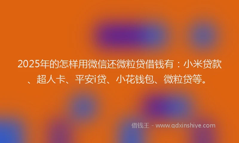 2025年的怎样用微信还微粒贷借钱有：小米贷款、超人卡、平安i贷、小花钱包、微粒贷等。