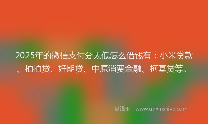 2025年的微信支付分太低怎么借钱有:小米贷款、拍拍贷、好期贷、中原消费金融、柯基贷等。