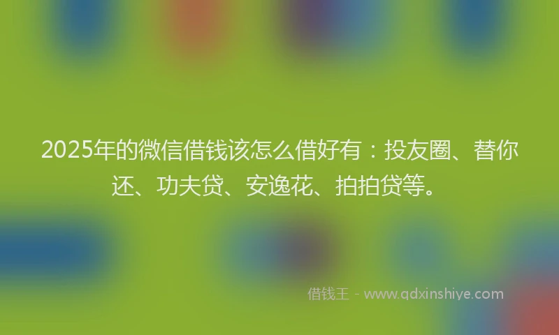 2025年的微信借钱该怎么借好有：投友圈、替你还、功夫贷、安逸花、拍拍贷等。
