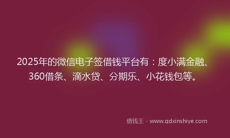 2025年的微信电子签借钱平台有：度小满金融、360借条、滴水贷、分期乐、小花钱包等。