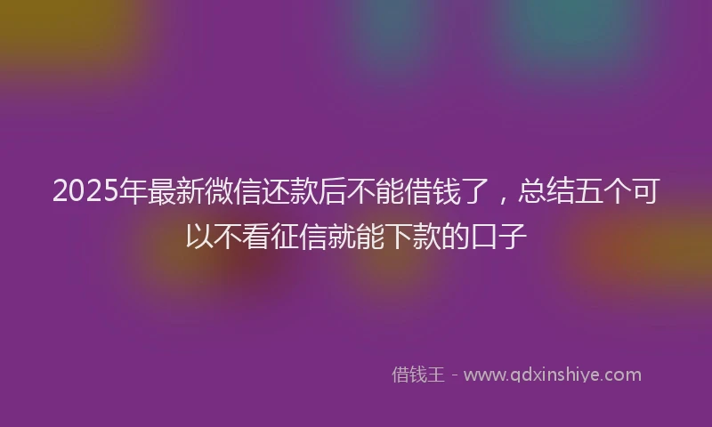 2025年最新微信还款后不能借钱了，总结五个可以不看征信就能下款的口子