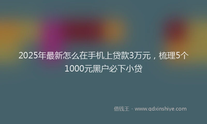 2025年最新怎么在手机上贷款3万元，梳理5个1000元黑户必下小贷