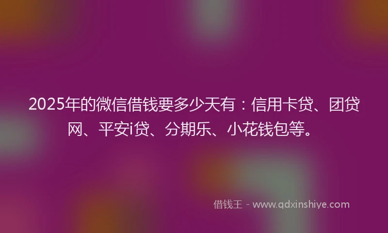 2025年的微信借钱要多少天有：信用卡贷、团贷网、平安i贷、分期乐、小花钱包等。