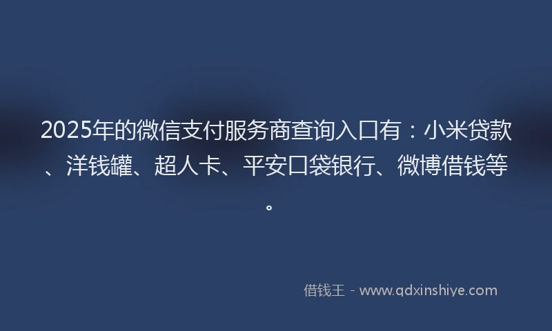2025年的微信支付服务商查询入口有：小米贷款、洋钱罐、超人卡、平安口袋银行、微博借钱等。