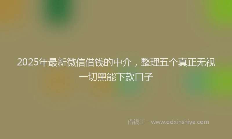 2025年最新微信借钱的中介，整理五个真正无视一切黑能下款口子