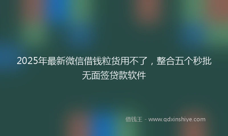 2025年最新微信借钱粒货用不了，整合五个秒批无面签贷款软件