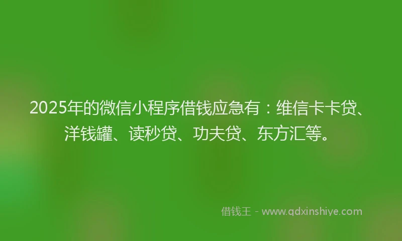 2025年的微信小程序借钱应急有：维信卡卡贷、洋钱罐、读秒贷、功夫贷、东方汇等。