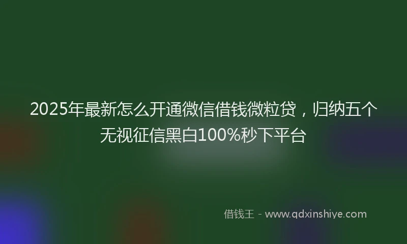 2025年最新怎么开通微信借钱微粒贷，归纳五个无视征信黑白100%秒下平台