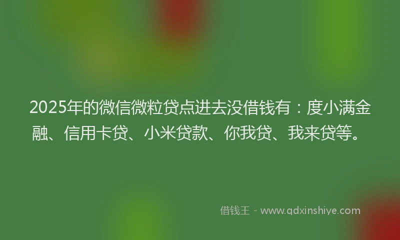 2025年的微信微粒贷点进去没借钱有：度小满金融、信用卡贷、小米贷款、你我贷、我来贷等。