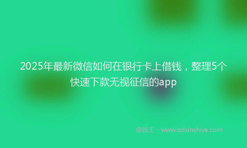 2025年最新微信如何在银行卡上借钱，整理5个快速下款无视征信的app