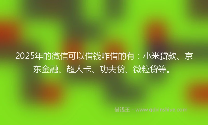 2025年的微信可以借钱咋借的有：小米贷款、京东金融、超人卡、功夫贷、微粒贷等。