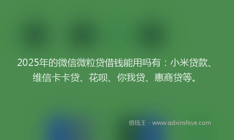 2025年的微信微粒贷借钱能用吗有：小米贷款、维信卡卡贷、花呗、你我贷、惠商贷等。