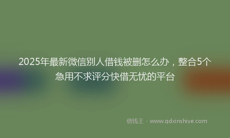 2025年最新微信别人借钱被删怎么办，整合5个急用不求评分快借无忧的平台