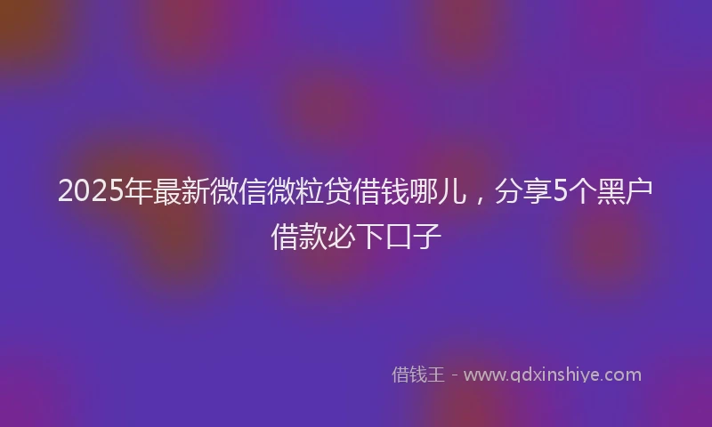 2025年最新微信微粒贷借钱哪儿，分享5个黑户借款必下口子