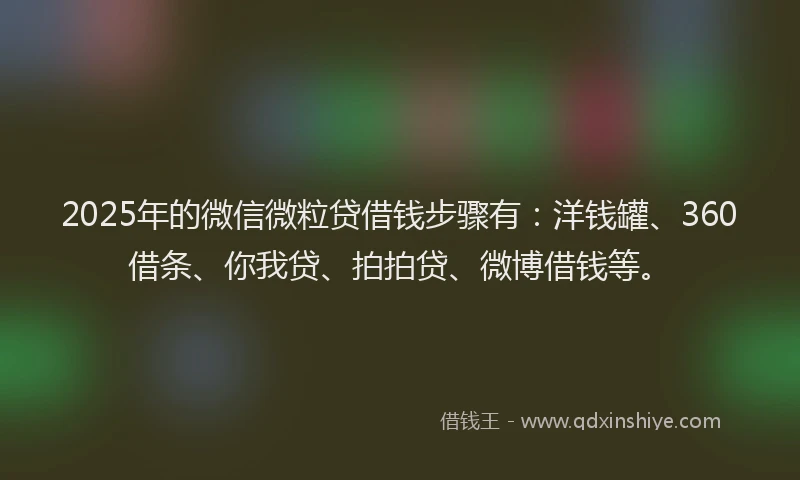 2025年的微信微粒贷借钱步骤有：洋钱罐、360借条、你我贷、拍拍贷、微博借钱等。