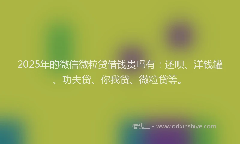 2025年的微信微粒贷借钱贵吗有：还呗、洋钱罐、功夫贷、你我贷、微粒贷等。
