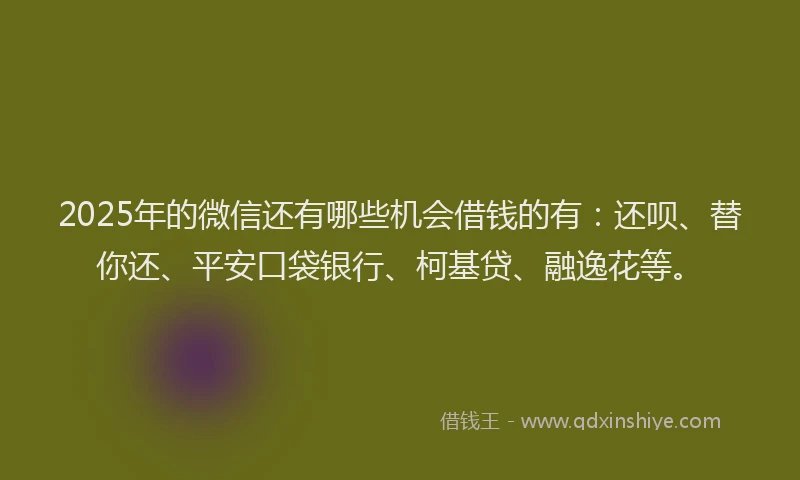 2025年的微信还有哪些机会借钱的有：还呗、替你还、平安口袋银行、柯基贷、融逸花等。
