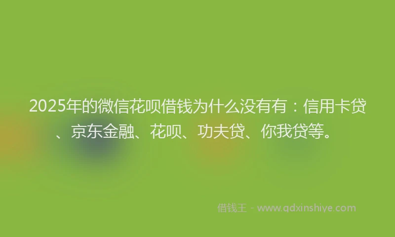 2025年的微信花呗借钱为什么没有有：信用卡贷、京东金融、花呗、功夫贷、你我贷等。