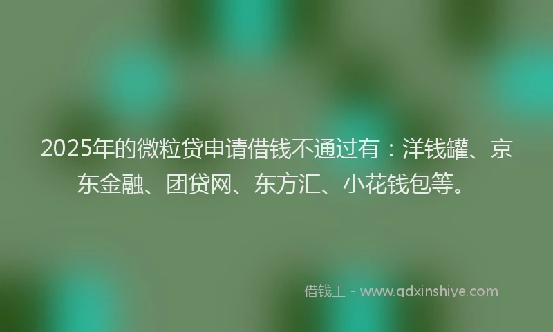 2025年的微粒贷申请借钱不通过有：洋钱罐、京东金融、团贷网、东方汇、小花钱包等。