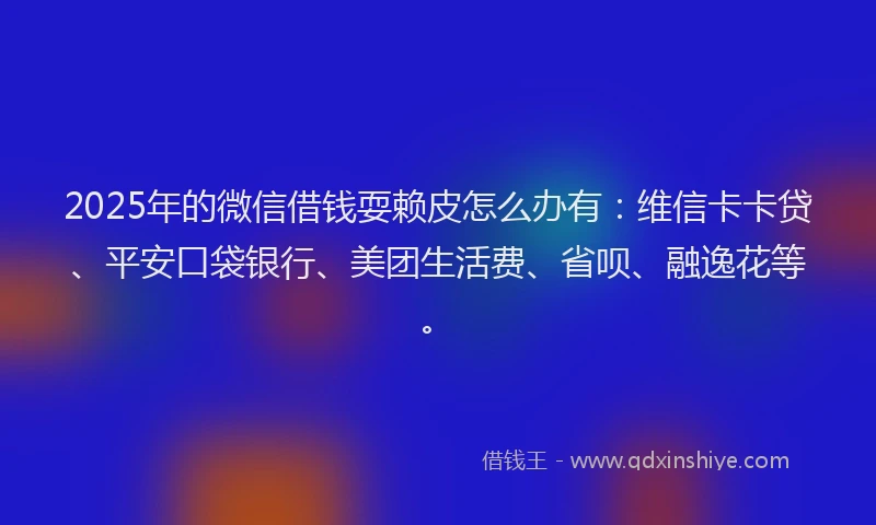 2025年的微信借钱耍赖皮怎么办有：维信卡卡贷、平安口袋银行、美团生活费、省呗、融逸花等。