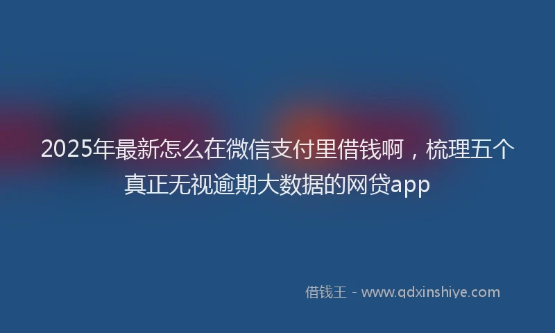 2025年最新怎么在微信支付里借钱啊，梳理五个真正无视逾期大数据的网贷app