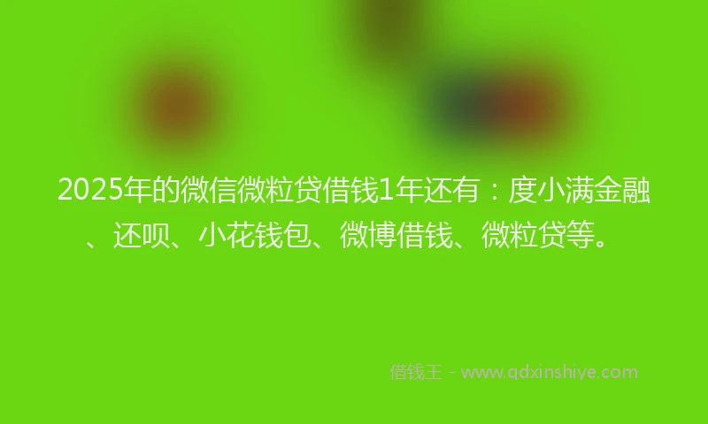 2025年的微信微粒贷借钱1年还有：度小满金融、还呗、小花钱包、微博借钱、微粒贷等。