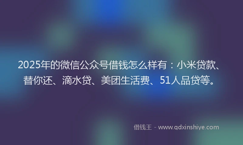 2025年的微信公众号借钱怎么样有：小米贷款、替你还、滴水贷、美团生活费、51人品贷等。