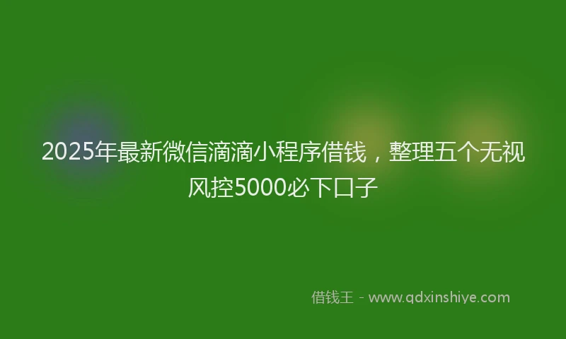 2025年最新微信滴滴小程序借钱，整理五个无视风控5000必下口子