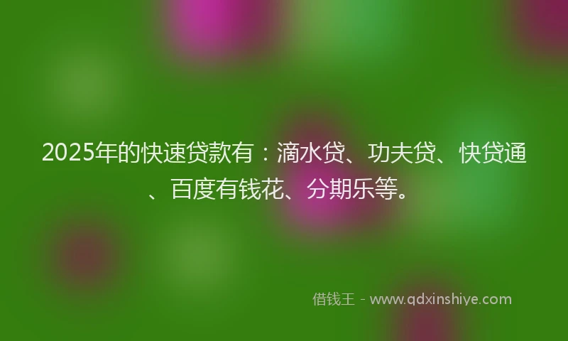 2025年的快速贷款有：滴水贷、功夫贷、快贷通、百度有钱花、分期乐等。