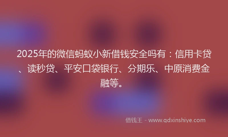 2025年的微信蚂蚁小新借钱安全吗有：信用卡贷、读秒贷、平安口袋银行、分期乐、中原消费金融等。