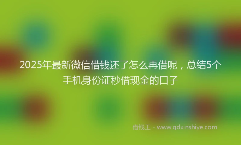 2025年最新微信借钱还了怎么再借呢，总结5个手机身份证秒借现金的口子