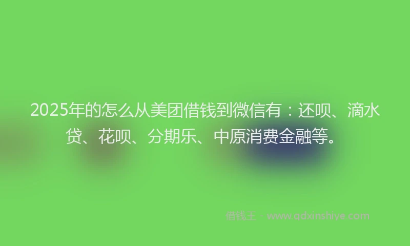 2025年的怎么从美团借钱到微信有：还呗、滴水贷、花呗、分期乐、中原消费金融等。