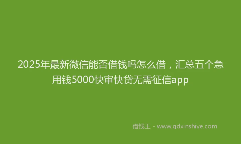 2025年最新微信能否借钱吗怎么借，汇总五个急用钱5000快审快贷无需征信app