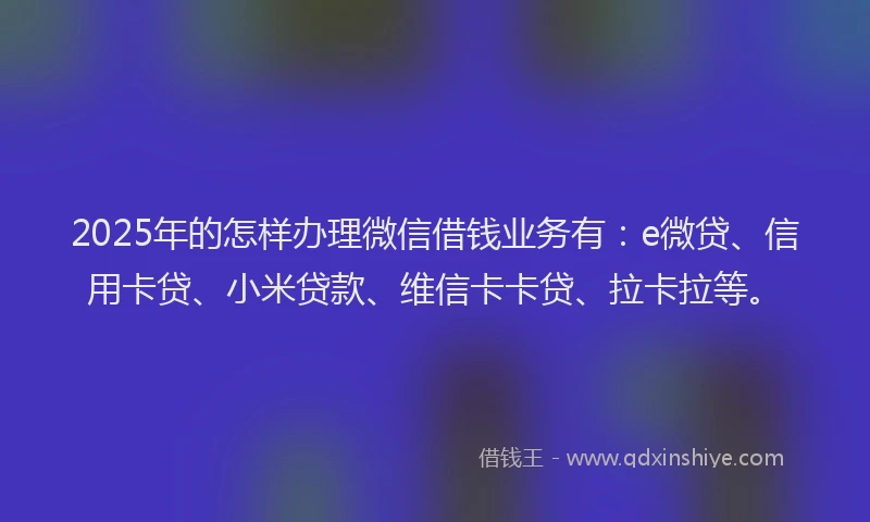 2025年的怎样办理微信借钱业务有：e微贷、信用卡贷、小米贷款、维信卡卡贷、拉卡拉等。