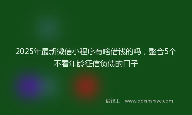 2025年最新微信小程序有啥借钱的吗，整合5个不看年龄征信负债的口子