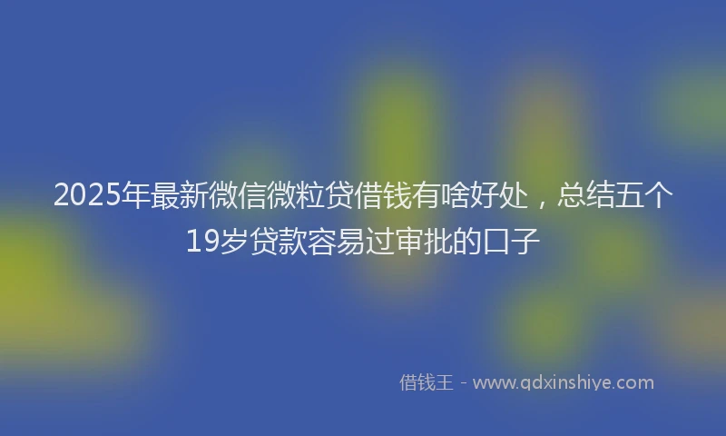 2025年最新微信微粒贷借钱有啥好处，总结五个19岁贷款容易过审批的口子