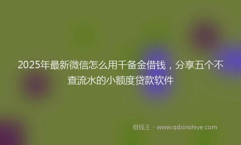 2025年最新微信怎么用千备金借钱，分享五个不查流水的小额度贷款软件