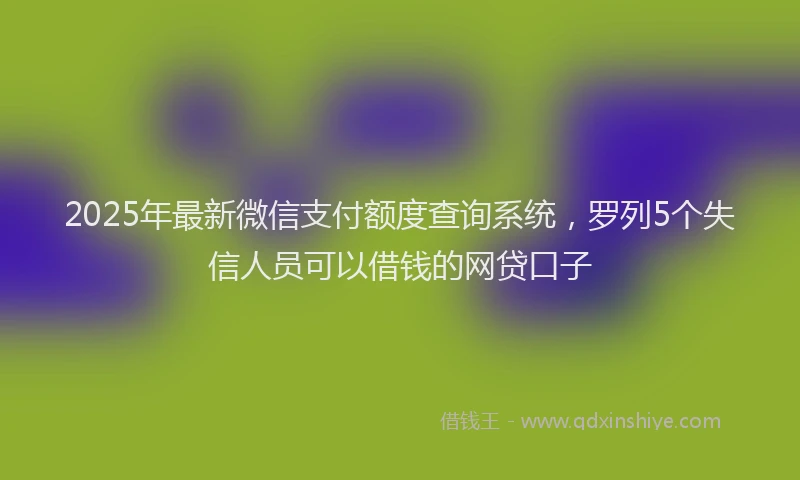2025年最新微信支付额度查询系统，罗列5个失信人员可以借钱的网贷口子