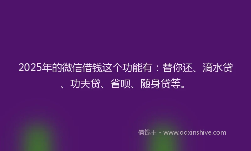 2025年的微信借钱这个功能有：替你还、滴水贷、功夫贷、省呗、随身贷等。