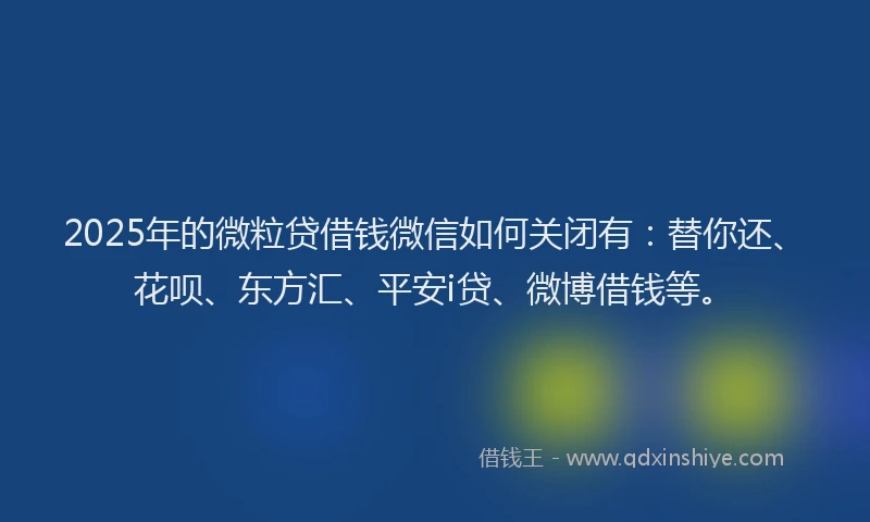 2025年的微粒贷借钱微信如何关闭有：替你还、花呗、东方汇、平安i贷、微博借钱等。