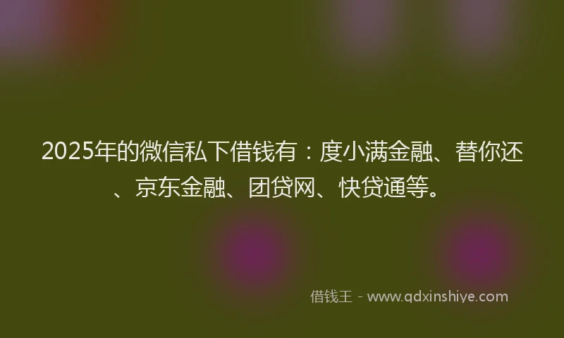 2025年的微信私下借钱有：度小满金融、替你还、京东金融、团贷网、快贷通等。