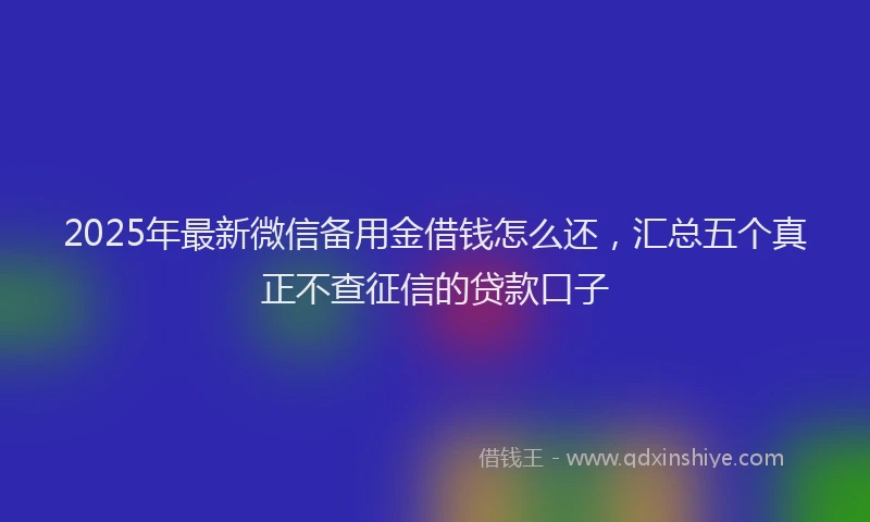 2025年最新微信备用金借钱怎么还，汇总五个真正不查征信的贷款口子