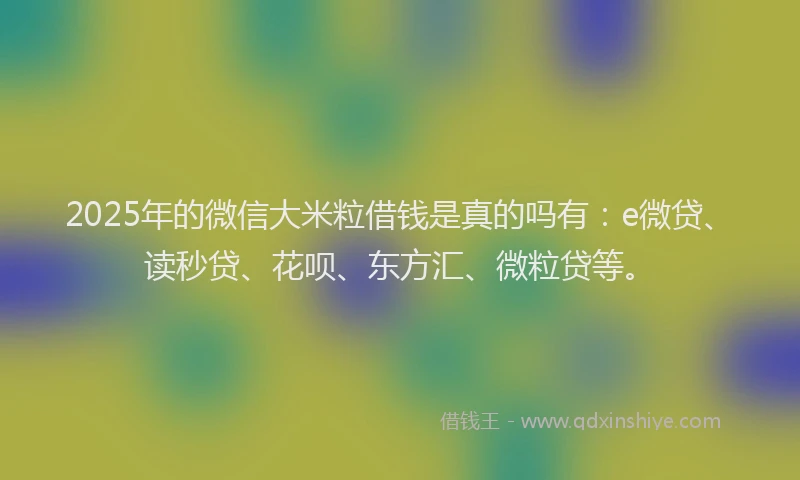 2025年的微信大米粒借钱是真的吗有：e微贷、读秒贷、花呗、东方汇、微粒贷等。