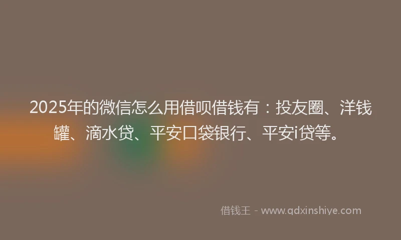 2025年的微信怎么用借呗借钱有：投友圈、洋钱罐、滴水贷、平安口袋银行、平安i贷等。