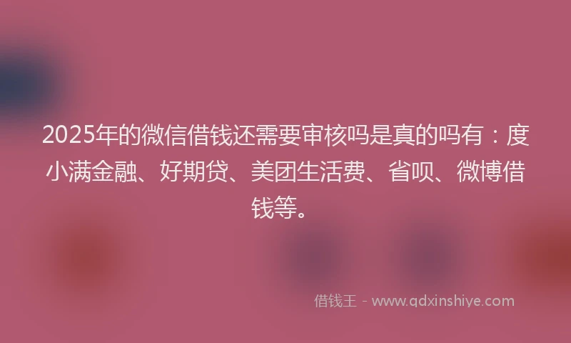 2025年的微信借钱还需要审核吗是真的吗有：度小满金融、好期贷、美团生活费、省呗、微博借钱等。